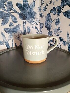Threshold “Do Not Disturb” Stoneware Coffee Mug Sage Green Terracotta Bottom